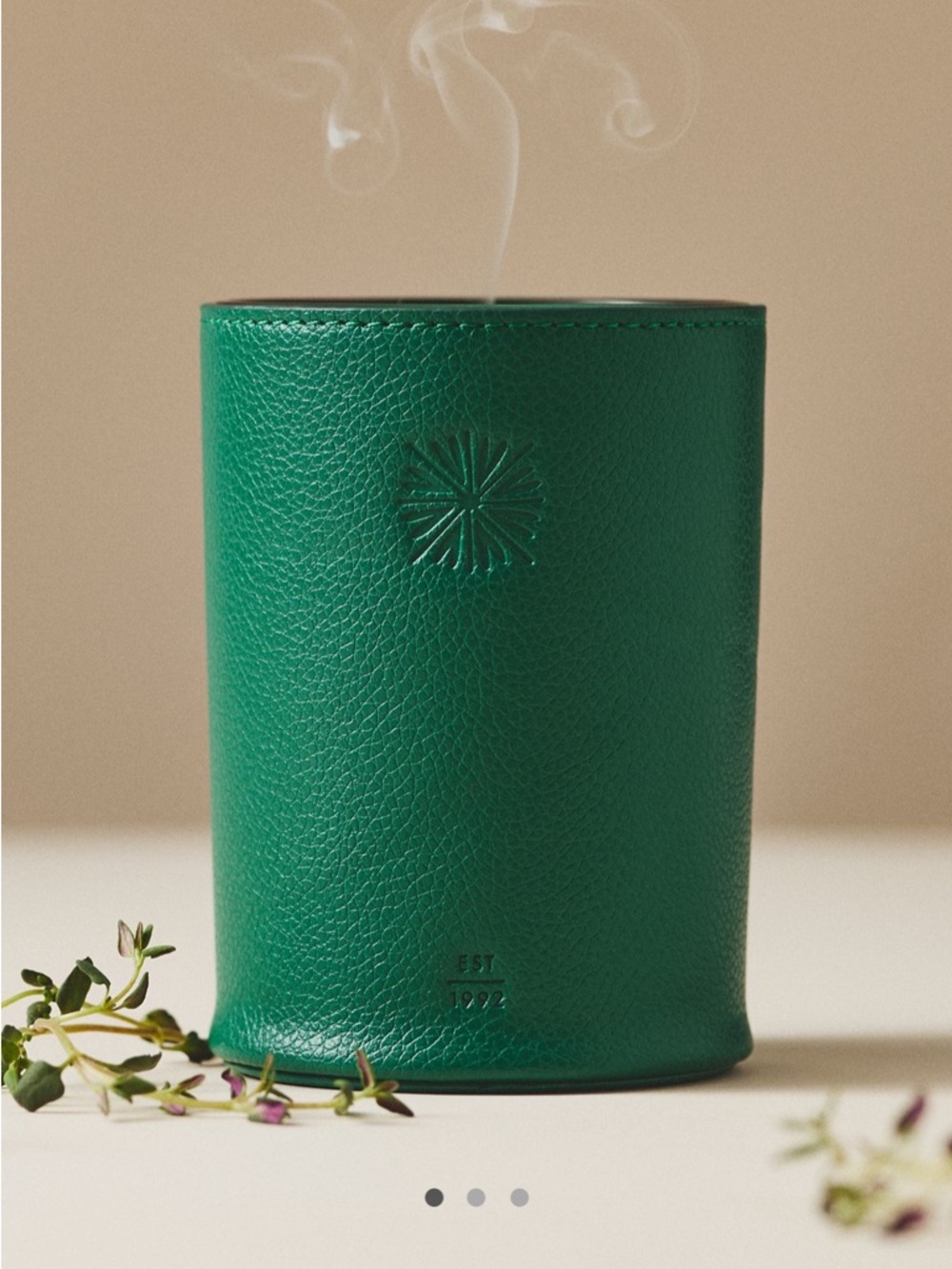 Anthropologie Icon Embossed Woody White Cedar & Thyme Glass Candle